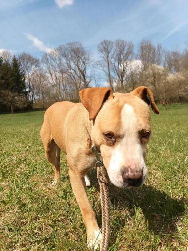 489322867_1173104427412643_944149982583251802_n