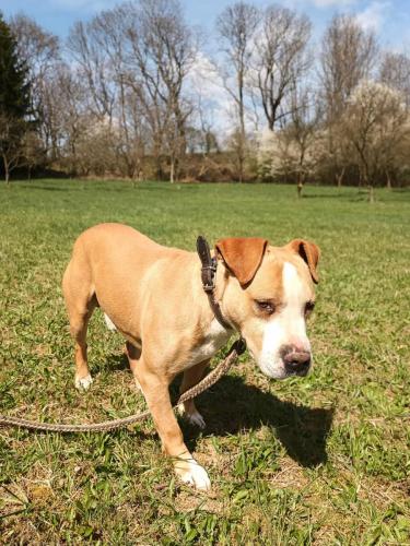 489334580_1011961160403429_5159659170995996168_n