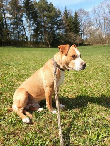 490088623_641777875311588_5746728375908199300_n