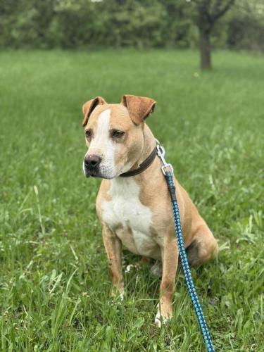 490144732_565236586084619_2983202670331417064_n