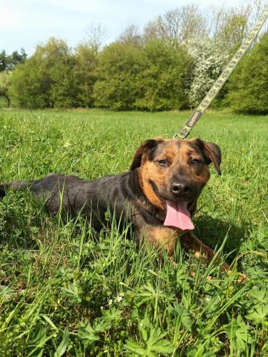 490418256_443818155486280_5973620725685491987_n