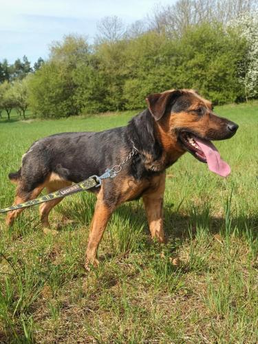 490439033_3074563112701269_8452338833789516984_n