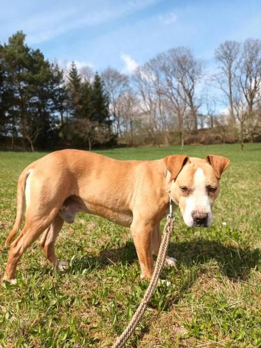 490449314_1162315692041841_4524408963123970165_n