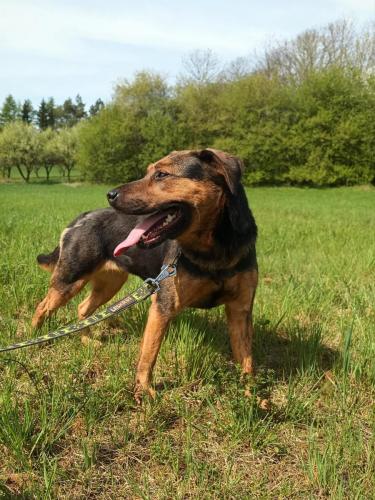 490459832_670229479301232_2931547341535648931_n