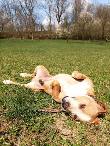 490634726_1684303712170192_41557351190827021_n