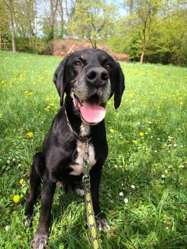 490655615_1009332837495663_4445598334639956584_n