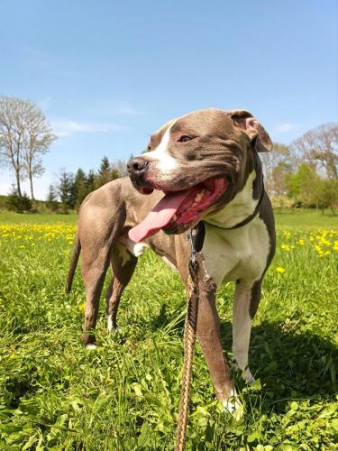 490766170_1010093210721378_3170556465724967374_n