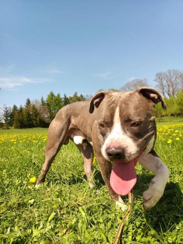 490803948_1306570267107864_2754832997458364274_n