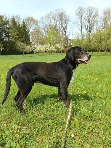 490852471_976383984276611_7779178758765224036_n