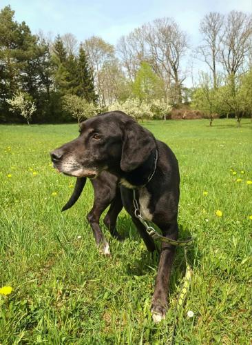 490975158_692833053149702_7947951272781133625_n