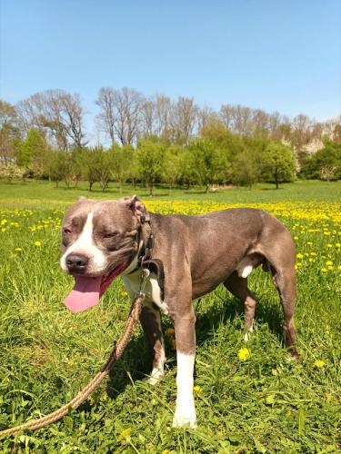 490975164_1609001246481167_4855075112586948644_n