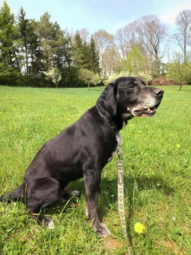 490975185_704491895489598_3509622681749956251_n