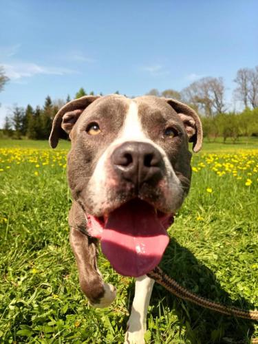 490976505_524498217394070_639929581180491618_n