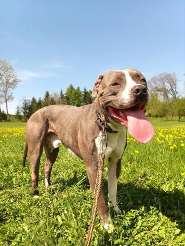 490982916_1477113980328619_3431667651304796977_n