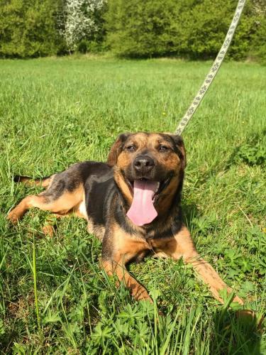 490982927_1017426679883437_7427393470955747587_n