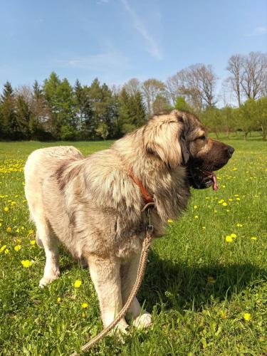 490982928_604396479308899_5520728779385157752_n