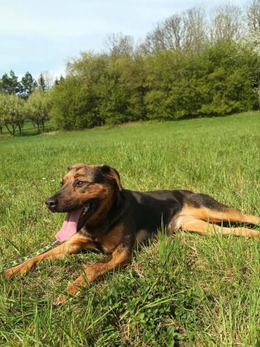 490983412_1757913235072724_5801893636179212805_n