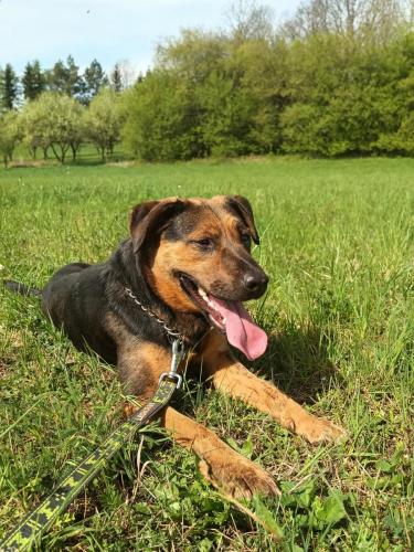 490987462_646554074854129_6602589050756550666_n