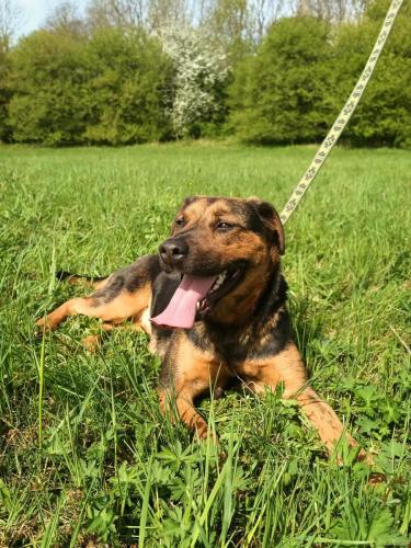 490987661_1381123503236710_1067112575466264059_n