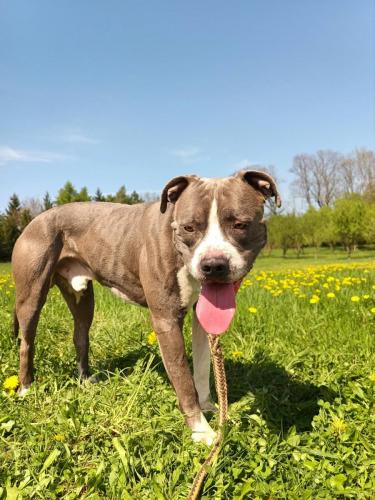 490988803_995780159324982_8172228916467919166_n