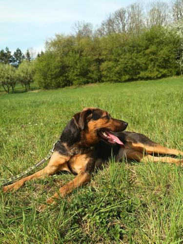 490991495_1344298203514326_223233285487873102_n