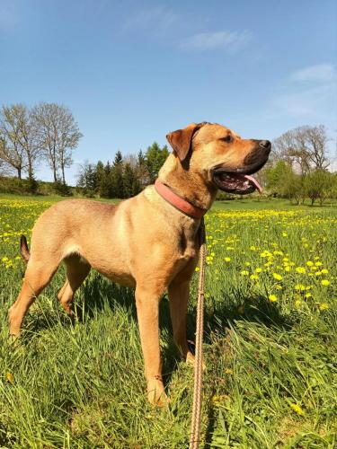 490991882_2990941307738393_16647940653835350_n