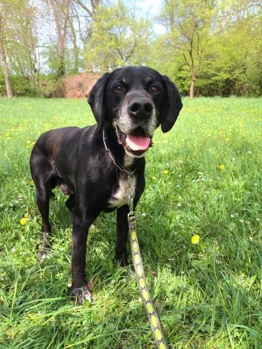 490993488_9642937635771659_7673198363660144764_n