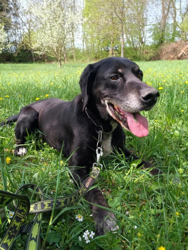 490996235_667980919275338_8417390834204409988_n