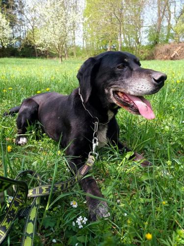 491004256_1372995777457582_3882282906020034923_n