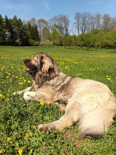 491004272_3588068678152498_6227481348513443910_n