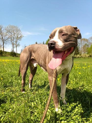 491004997_678973214716122_9107341578755895373_n