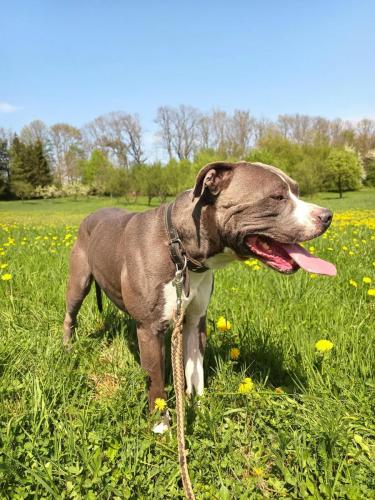 491006609_1172223938031335_354657494839659706_n