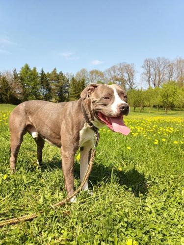 491006707_1656146835021336_5201067142529416372_n