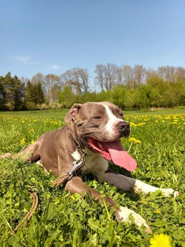 491009172_682484940933745_5909643347642942161_n