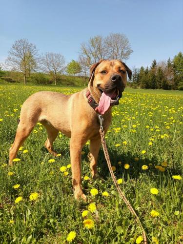 491009267_2854188151409662_986369877535998325_n