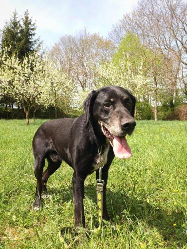 491010474_2210433079353332_6288698722217057188_n