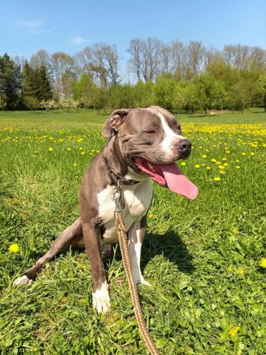 491013538_650134647840635_5573655659679770101_n