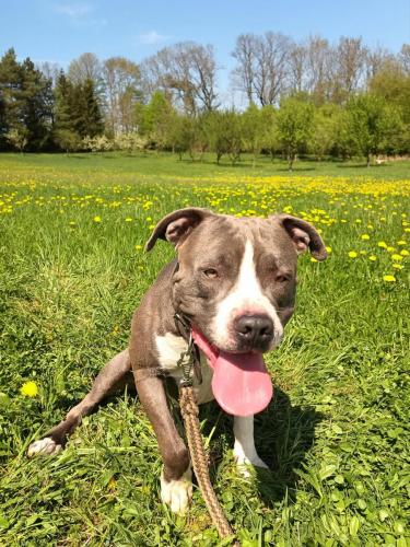 491022956_561887753599349_8943561053363280708_n