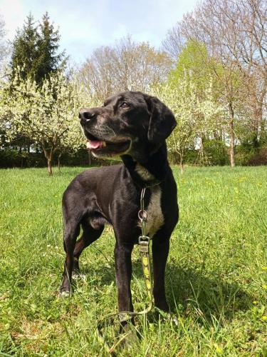 491024919_1751775952037325_8547951211581073676_n