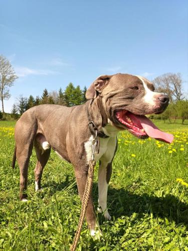 491025820_2680255715496248_8514741950763501808_n