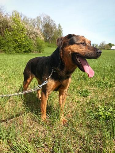 491136335_651205394556108_7030255061183647323_n