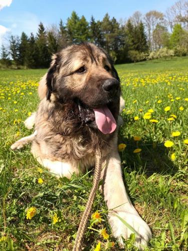 491229843_533467389821174_7932316298063120568_n