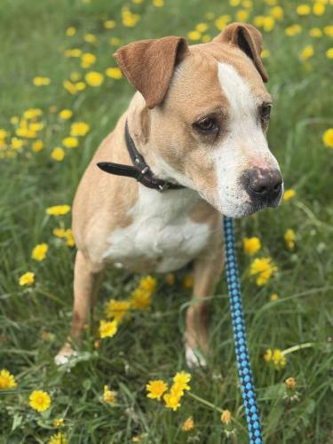 491265647_2332289983824051_4372116419644561195_n