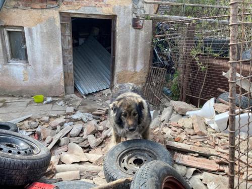 takhle žila, než přijela k nám...