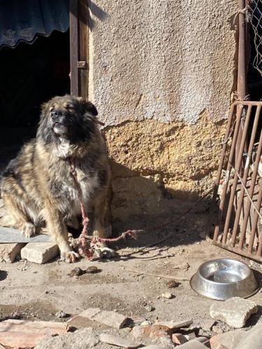 takhle žila, než přijela k nám...