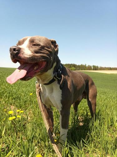 494325891_1221901949276441_5335892611570972158_n