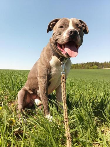 494327602_913715054138617_6177229013530977311_n