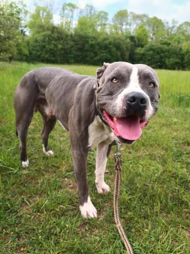 494327970_4193414124317252_8582615766449751874_n