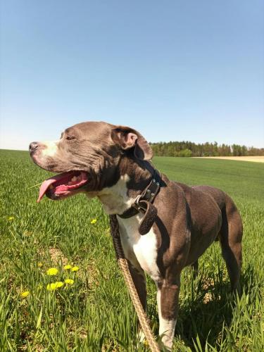 494329489_694734286400672_8401721733707047677_n