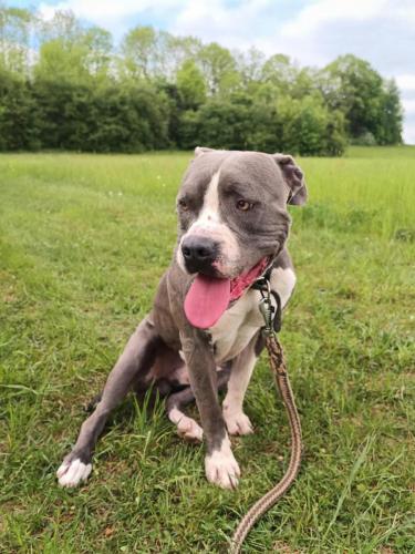 494330395_704608408707543_4108319670817668210_n